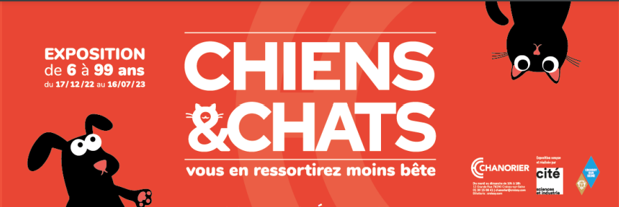 Chiens & Chats