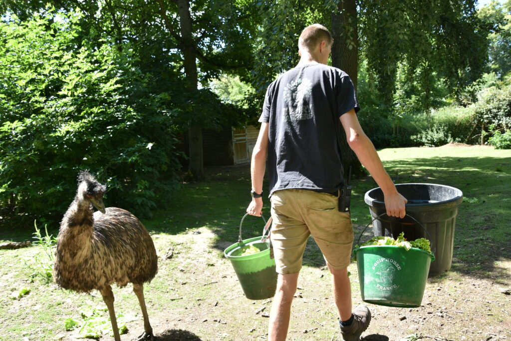 Découverte de Thoiry avec Simon, soigneur animalier © CD78/S.GAYET