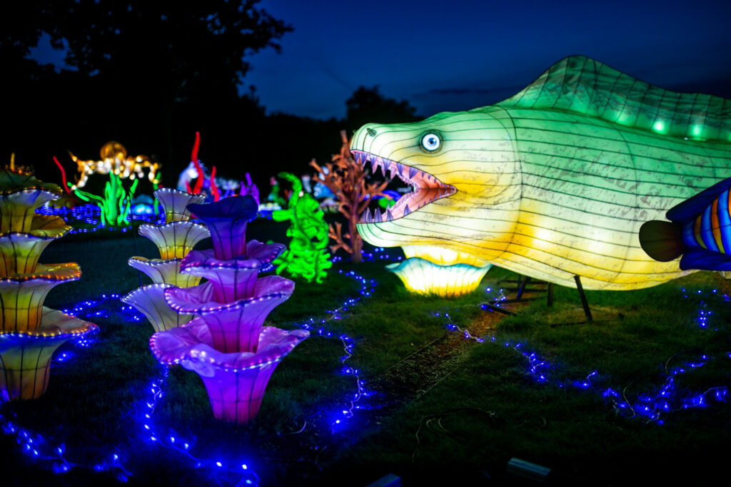 Le spectacle Lumières Sauvages compte près de 2 000 lanternes