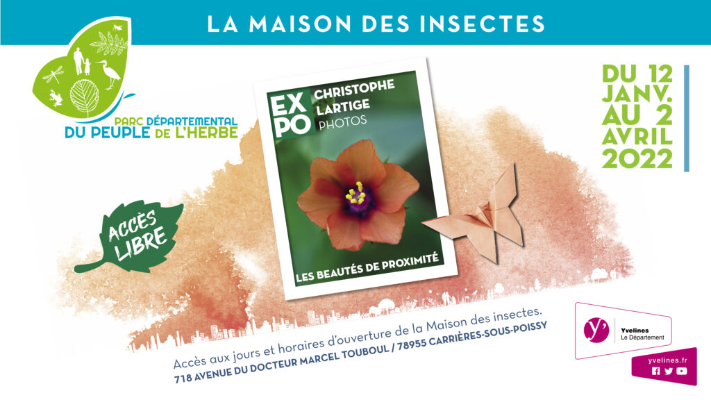 Expo photo Les beautés de proximité