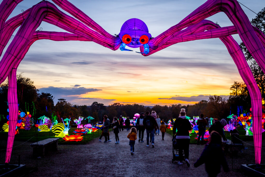 Thoiry Lumières Sauvages 3