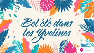 VISUEL ÉTÉ Yvelinois twitter