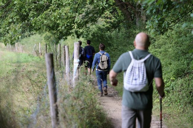 De nombreuses activités sont organisées durant l'été dans les forêts départementales, profitez-en ! © N. Duprey / CD78