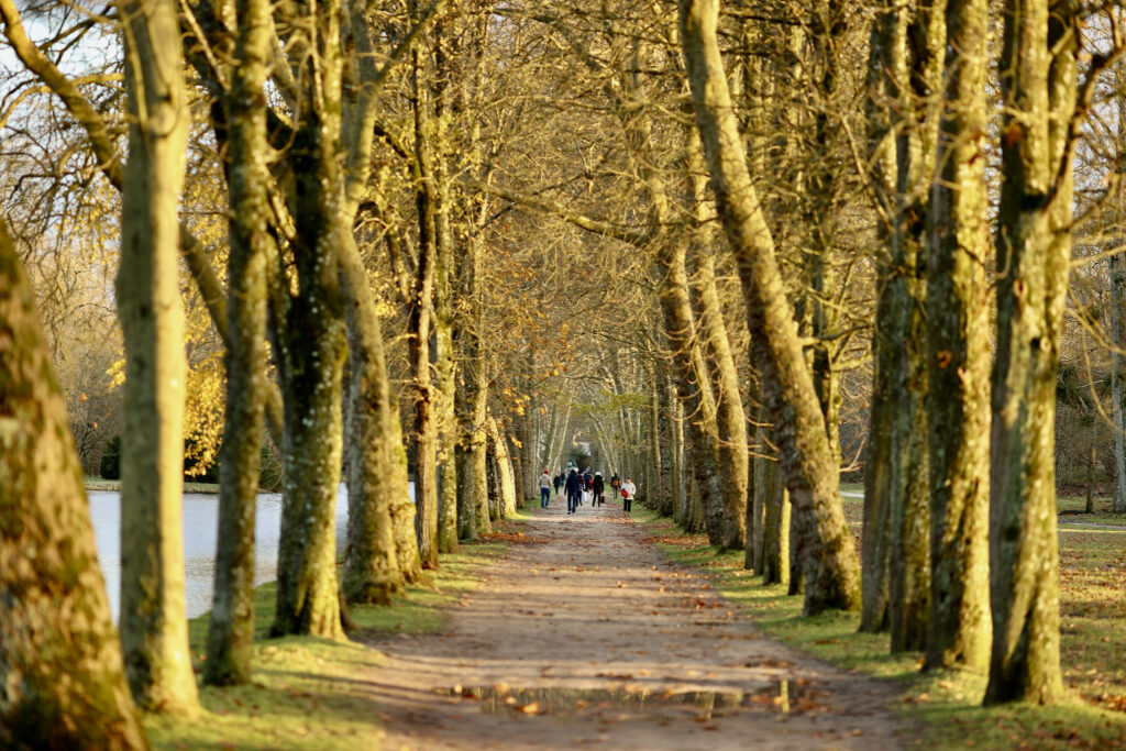 Week-end © Nicolas DUPREY/ CD 78