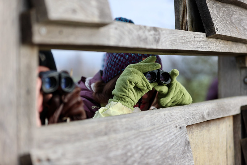 Au Bout du Monde avec la Ligue pour la protection des oiseaux