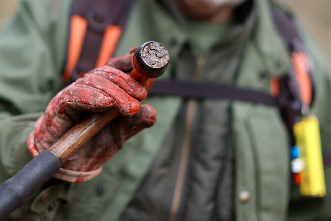 Le marteau portant le sceau "AF" pour "Administration forestière" © Nicolas DUPREY / CD 78