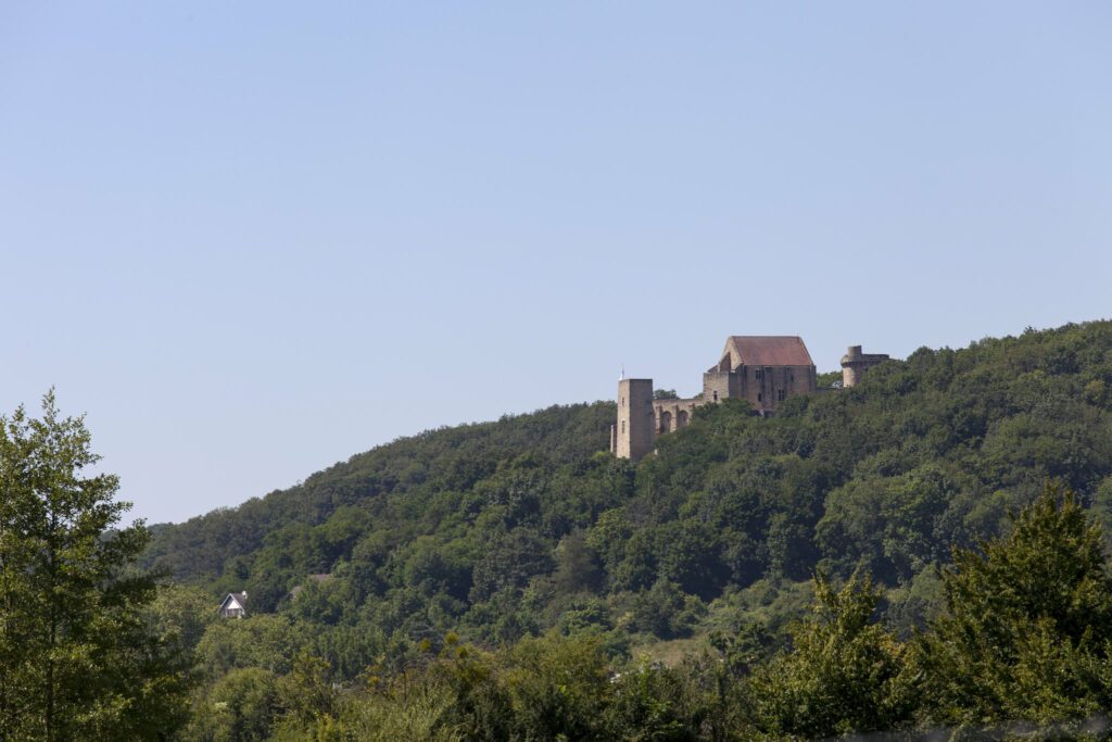 Château de la Madeleine © CD78/N.DUPREY