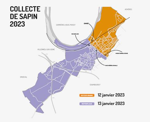 Collecte de sapins 2023 à Poissy.