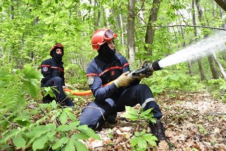 Les pompiers du centre de secours de Poissy s'entraînent dans la forêt des tailles d'Herbelay © Guy Kouame SDIS78