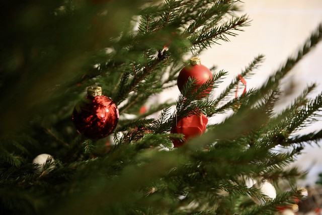 Collecte des sapins 2023