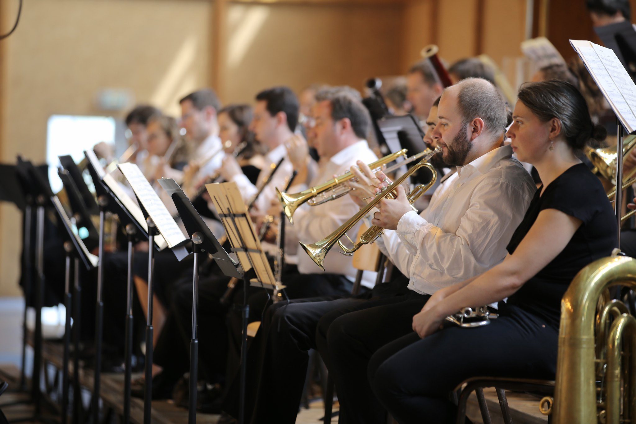 L'Orchestre de l'Alliance se déplace à Maisons-Laffitte et au Désert de Retz pour deux concerts exceptionnels. ©CD78