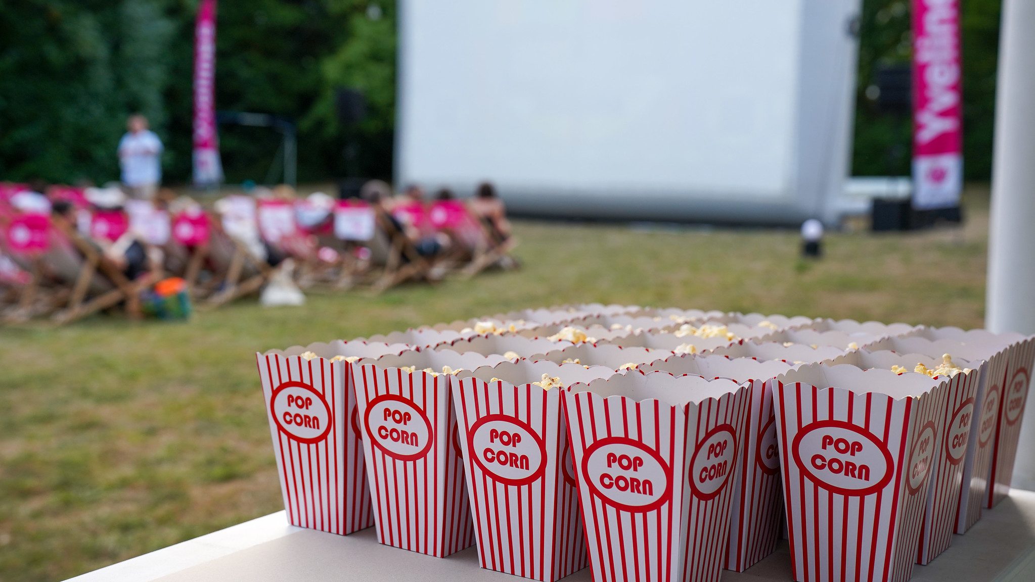 La séance Yvelines Ciné d'Arnouville-lès-Mantes a réuni près de 100 spectateurs. ©CD78
