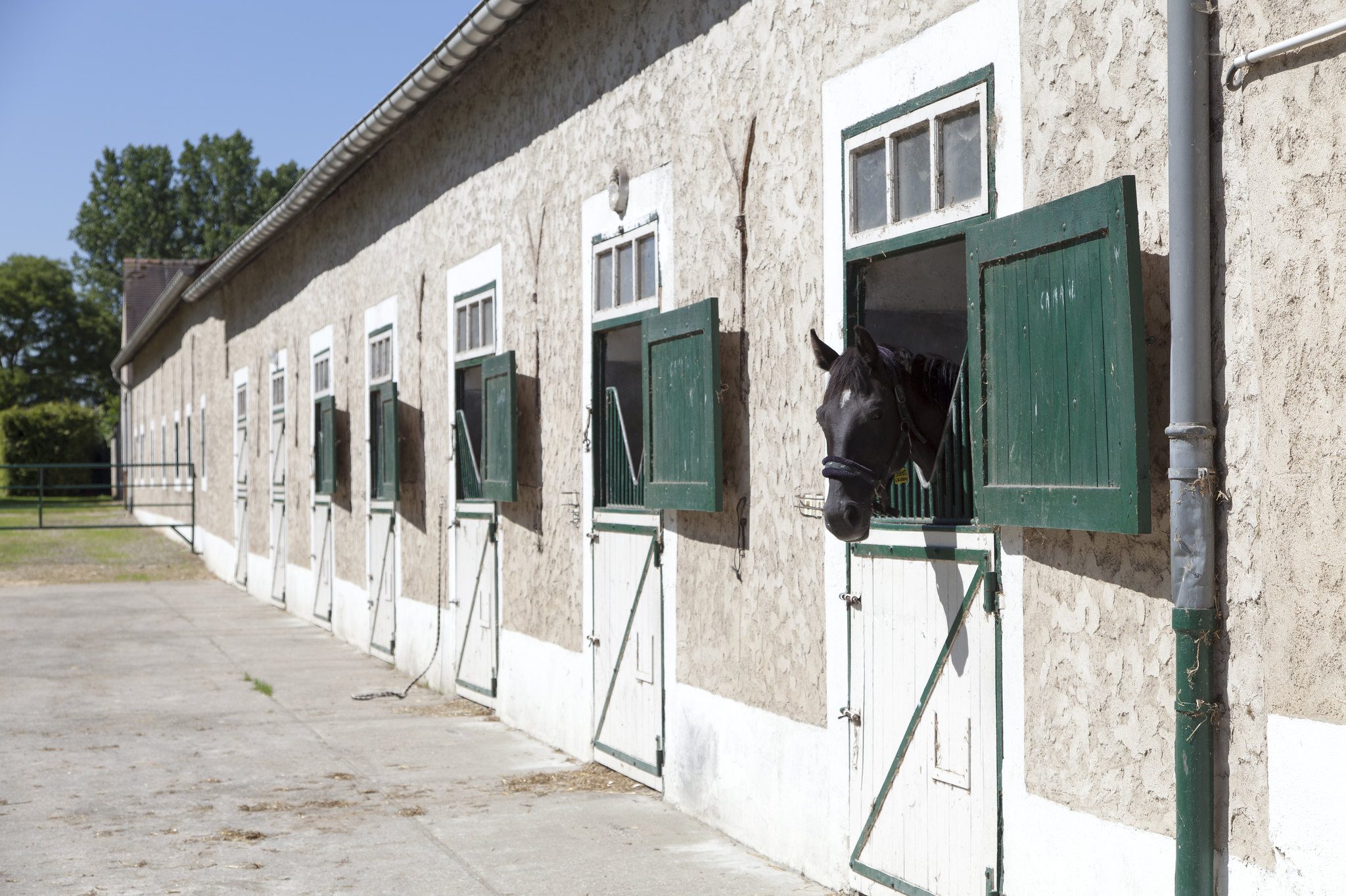 Le haras des Bréviaires est unique haras national d'Île-de-France. ©CD78
