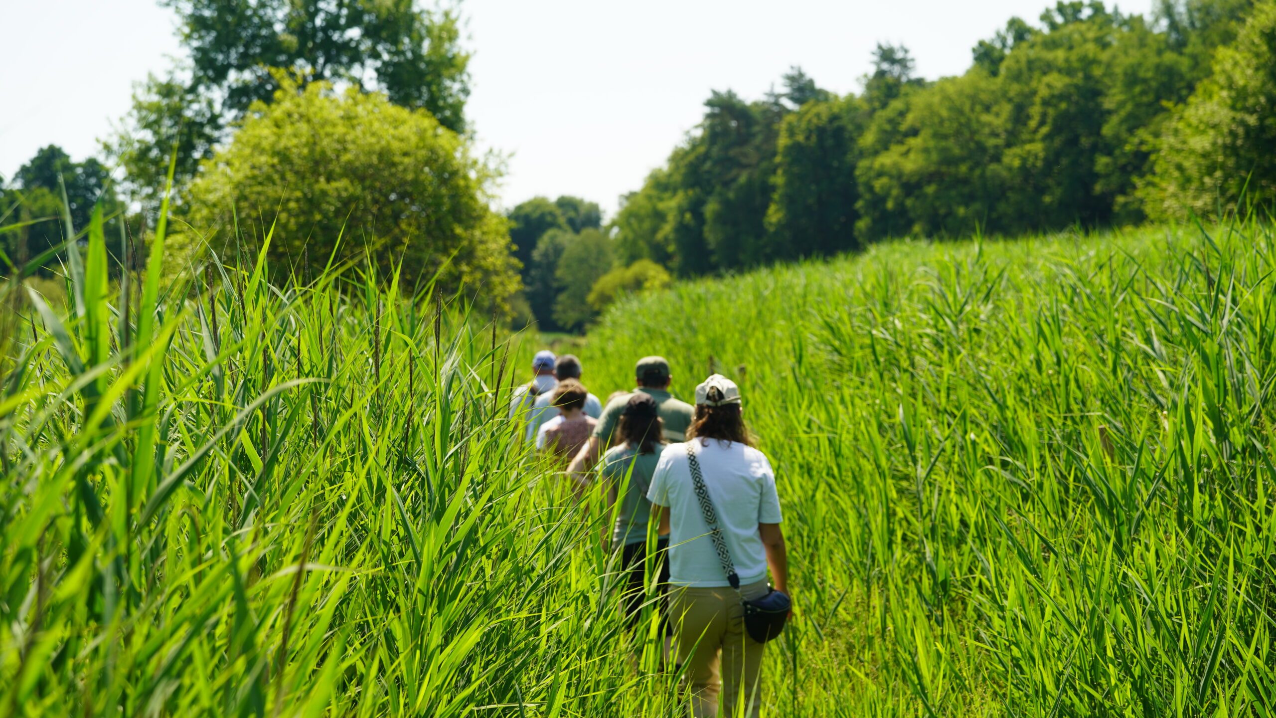 La sente des Bonnes Femmes traverse cette zone humide qui s’étend sur 15 hectares dans la vallée de la Rabette. ©CD78