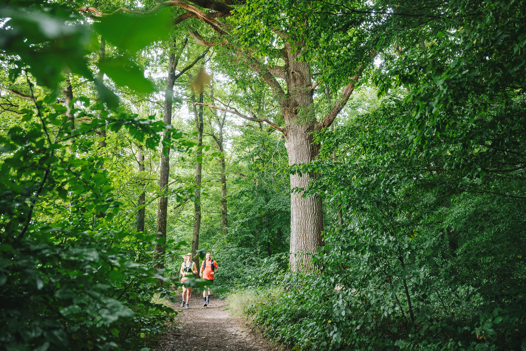 En Vallée de Chevreuse, le trail pour tous les niveaux