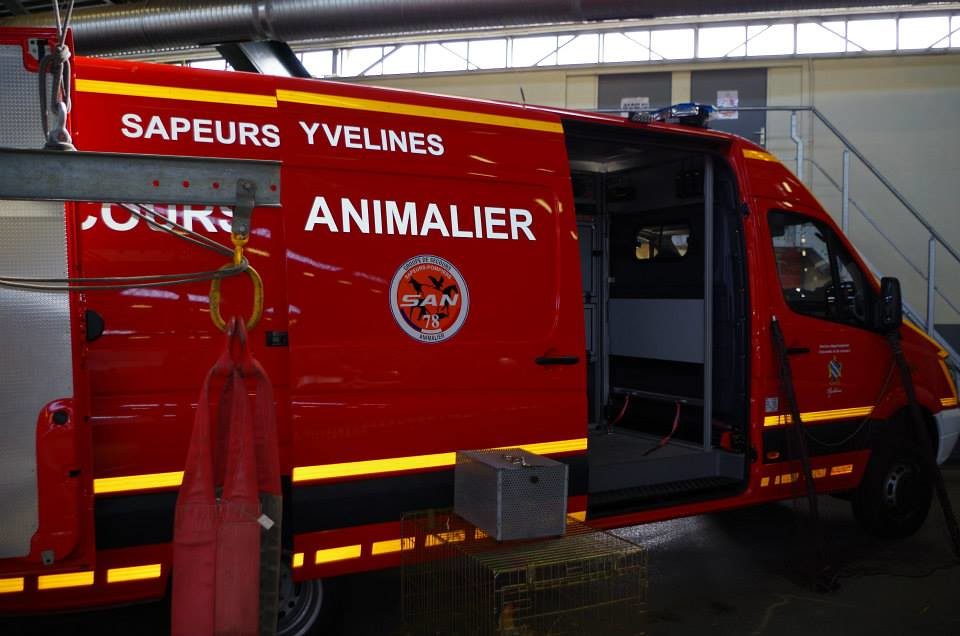Sauvetage animalier : le quotidien méconnu des sapeurs-pompiers